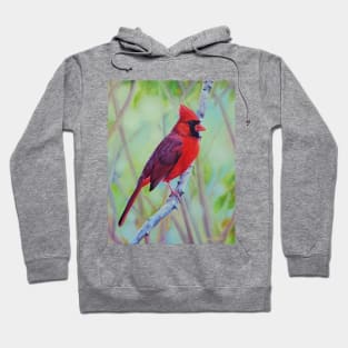 Northern Cardinal in Spring Hoodie